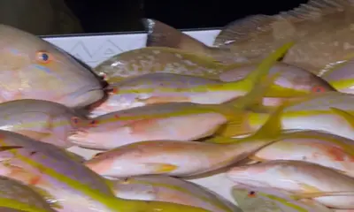 Pompano Beach Report Video 0