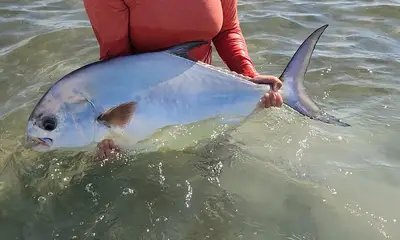 Islamorada Report Video 0