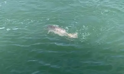 Bradenton Beach Report Video 0
