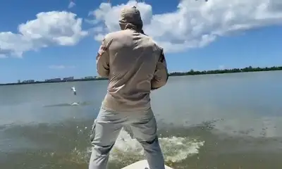 How's the bite??? Take a look!