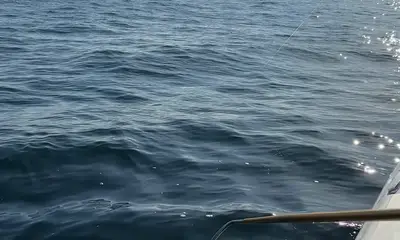 Middletown Township Report Video 0