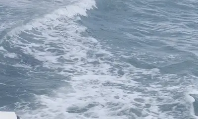 Great shelling boat trip!