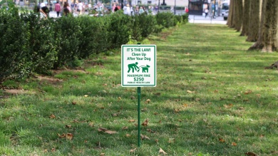 Clean Up After Your Dog with Graphic Sign
