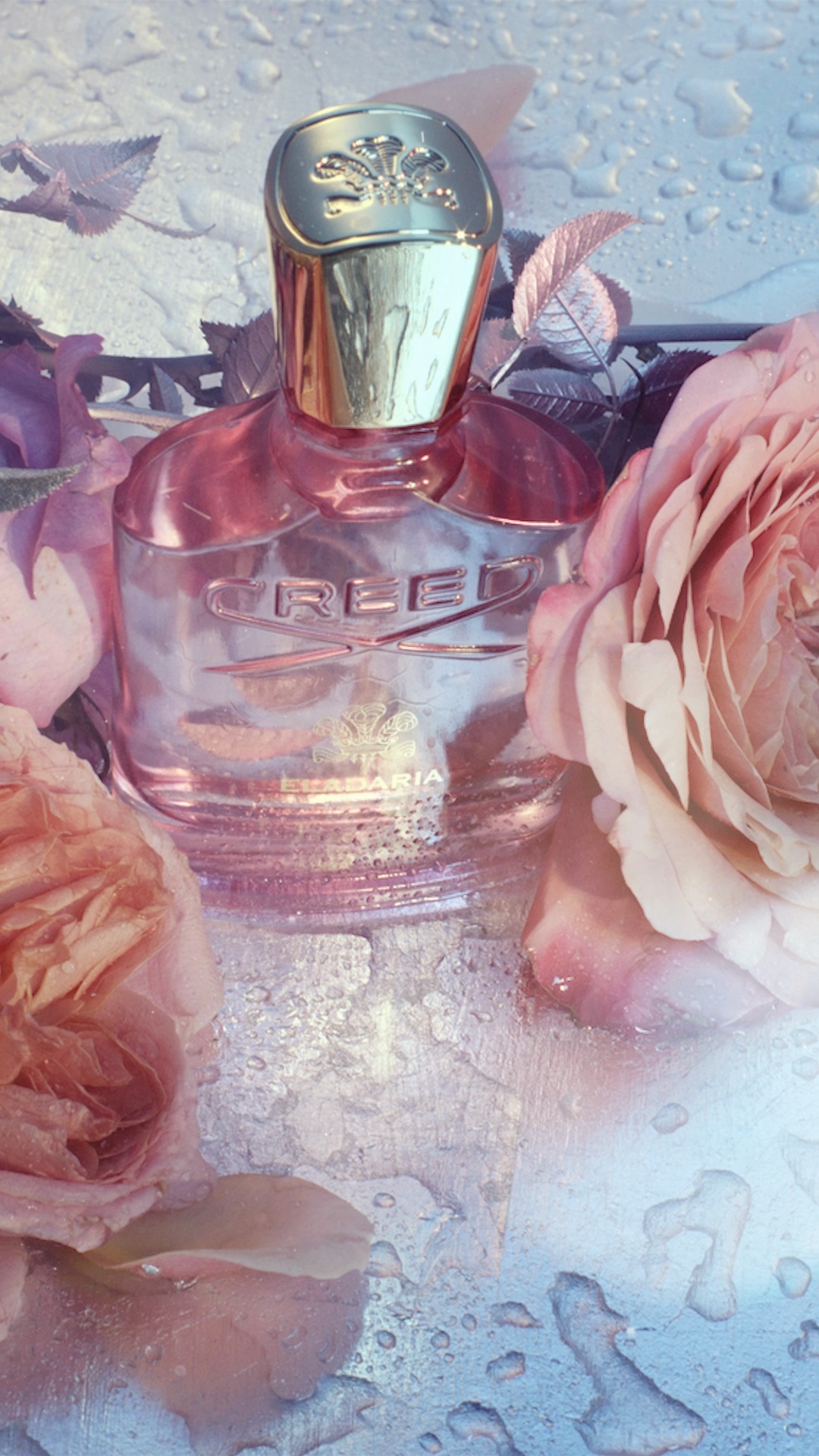 新品未開封⭐︎CREED ELADARIA オードパルファム 75ml Eladaria by Creed Eau De Parfum Spray 2.5 oz (Women) for