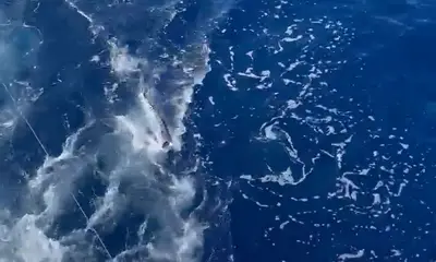 Key Largo Report Video 1