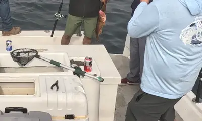 Ensenada Report Video 1