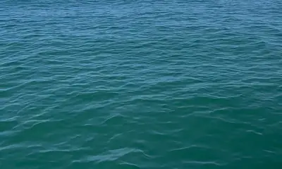 About the fishing 