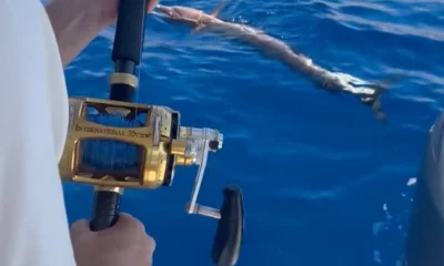 Aqaba Report Video 1