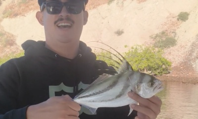 La Paz Report Video 0