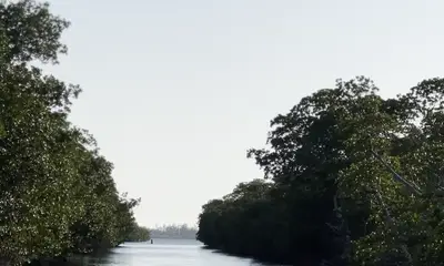 Sunset cruise with Captain Caroline!