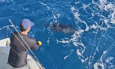 Fort Lauderdale Report Video 1