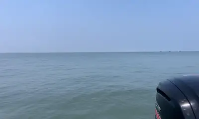 Capt Dave was awesome. 