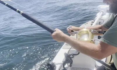 Orange Beach Report Video 0