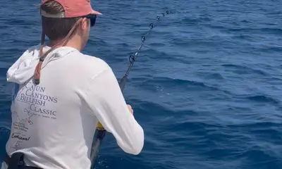 Playa Flamingo Report Video 0