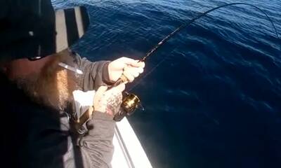 Myrtle Beach Report Video 2