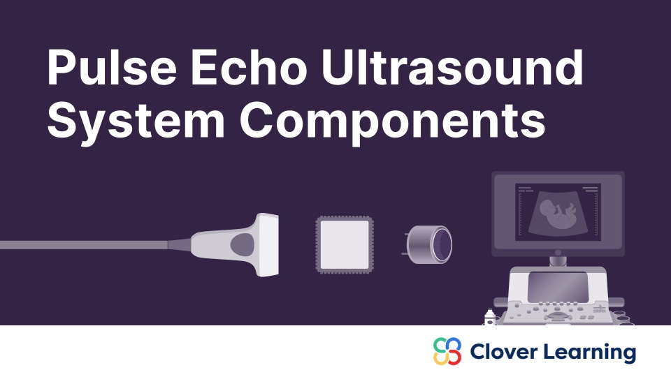 Pulse Echo Components | Video Lesson | Clover Learning