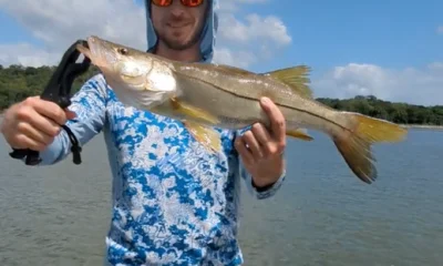 Gamboa Report Video 2