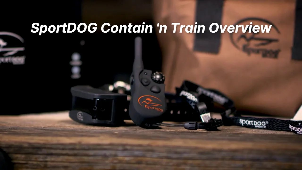 SportDOG Contain + Train 1-Dog System SDF-CT | Gun Dog Supply