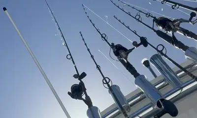 We caught some big ones! 