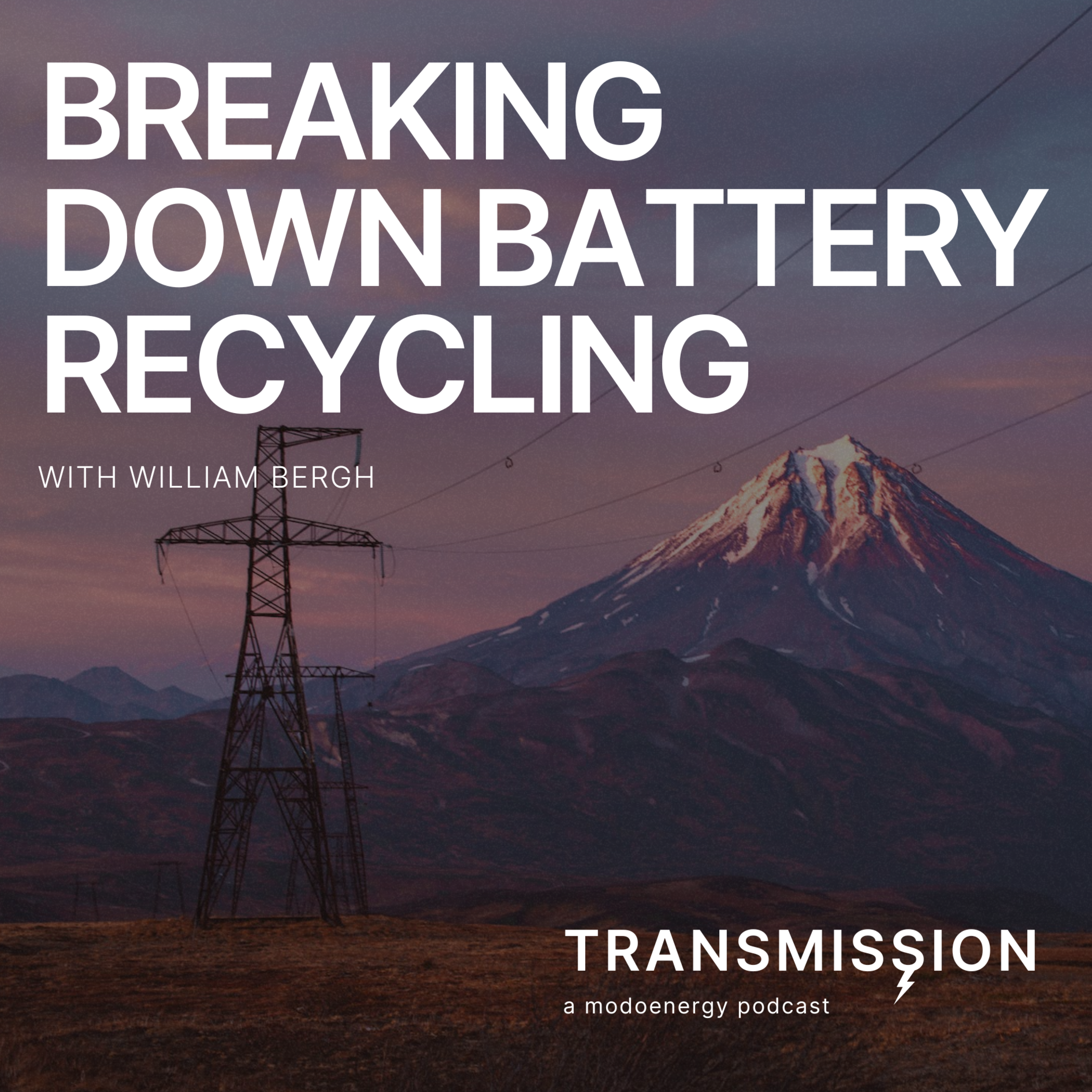 Breaking down battery recycling with William Bergh (CEO @ Cling Systems) - podcast episode cover