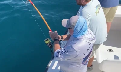 Nags Head Report Video 1