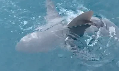 Panama City Beach Report Video 0