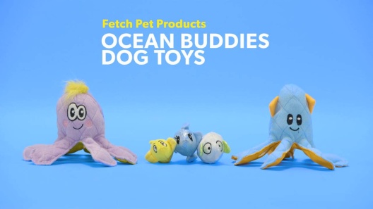 Play Video: Learn More About Fetch Pet Products From Our Team of Experts