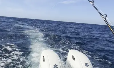 Port Orange Bericht Video 0