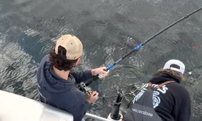 Seattle Report Video 0