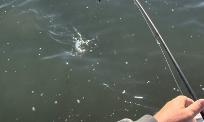 South Padre Island Verslag Video 0