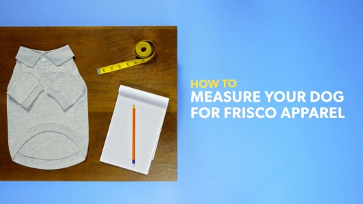 Play Video: Learn More About Frisco From Our Team of Experts