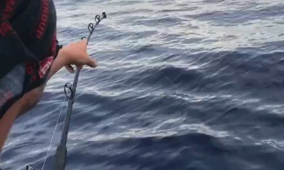 Fort Lauderdale Report Video 1
