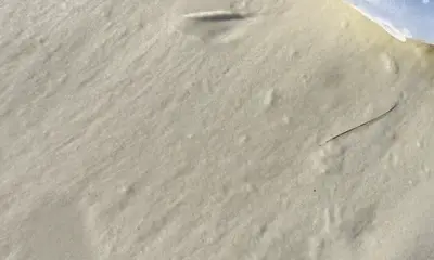 Santa Rosa Beach Report Video 0
