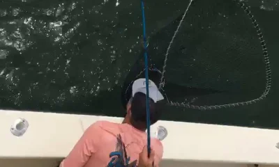 Poquoson Report Video 1