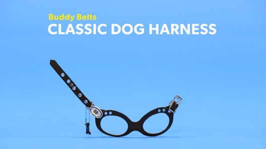 Buddy Belts – The Best Harness for Your Best Friend