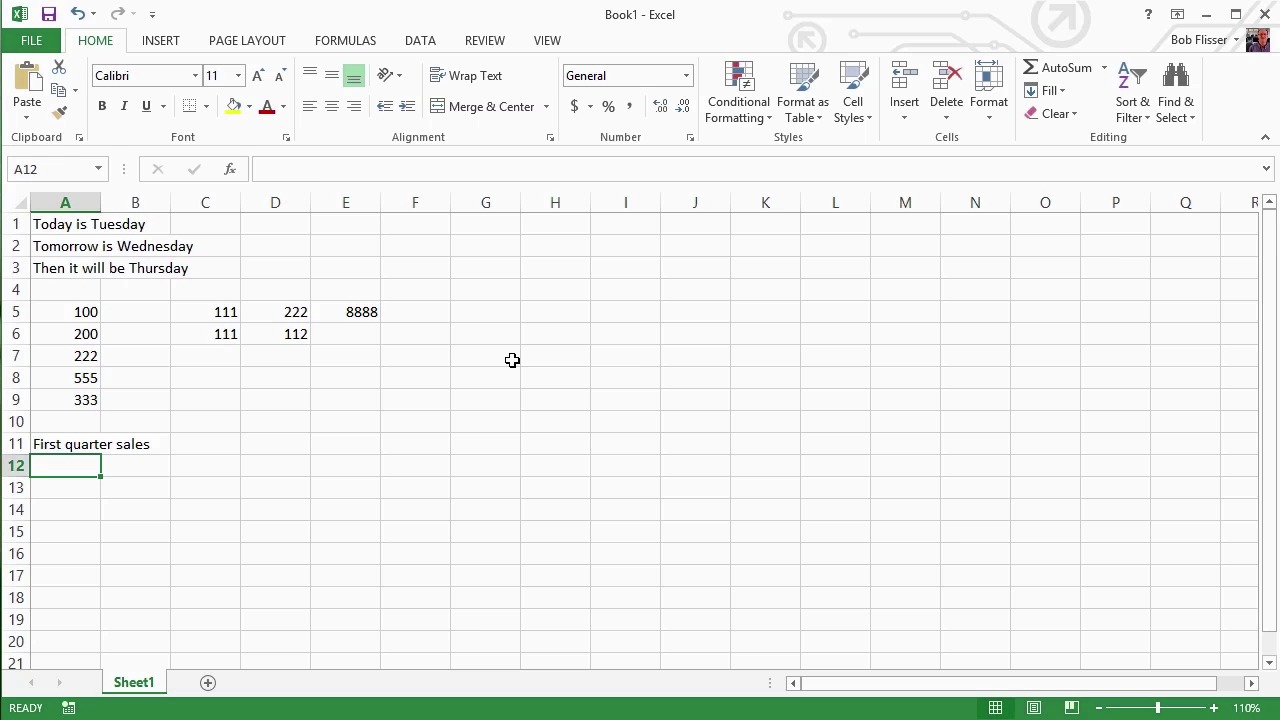 Introduction to Spreadsheets - Editing Techniques