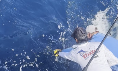Great Family Marlin Trip
