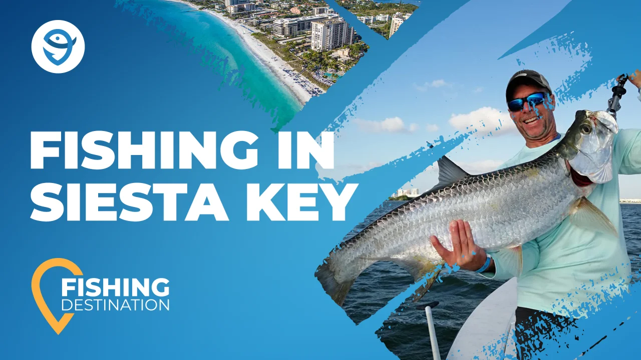 Fishing in SIESTA KEY: The Complete Guide