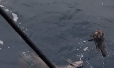 Onslow County Report Video 2