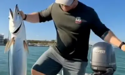 Playa Del Carmen Report Video 0