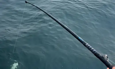 Better luck next time
