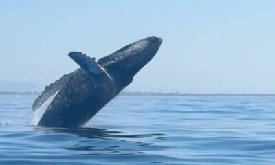 Great day out on the water 