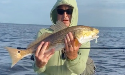 Palmetto Report Video 0