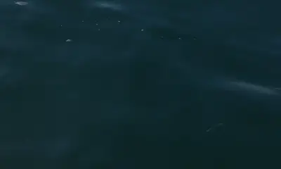 Bradenton Report Video 2