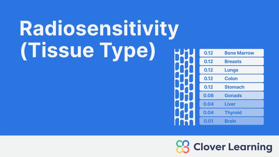 Radiosensitivity (Tissue type) | Video Lesson | Clover Learning