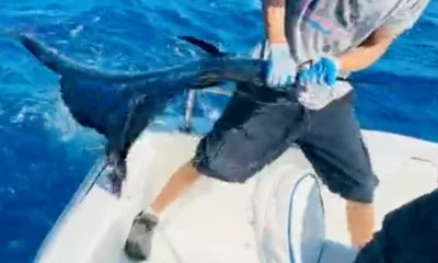 Cabo San Lucas Report Video 0