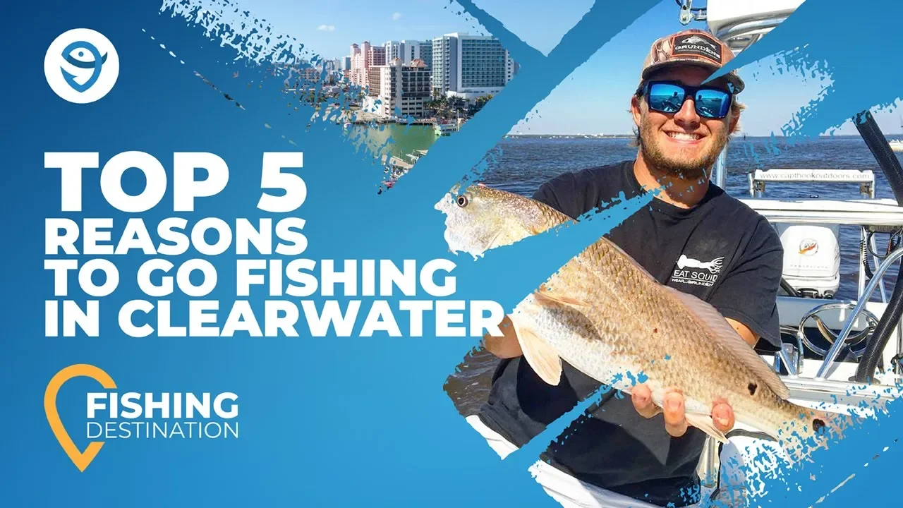 Fishing in CLEARWATER: The Complete Guide