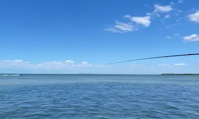 Palmetto Report Video 1