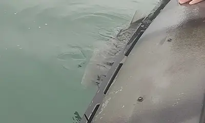 Mastic Видео отчет 1