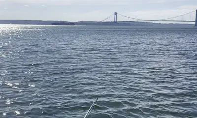 New York City Видео отчет 0